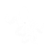 Octopus animal