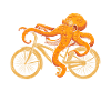 Octopus animals