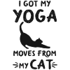 Chat de yoga drôle