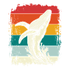killer whale