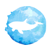 Orca