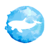 Killerwal Orca Fisch