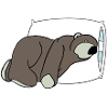 All sleepy