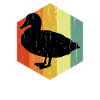 Distressed Duck Duck Hexagon