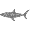 Requin et filets d'eau