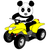 Ppanda on quad