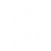 Euler