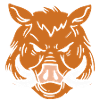 Sanglier cochon sanglier sanglier