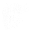 Allgäu cow
