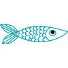 Little fish