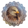 Red kite