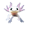 axolotl