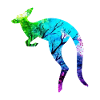 kangaroo