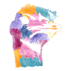 ostrich