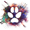 Patte canine espace étoiles Cassiopée