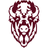 animal head bison