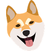 Shiba Inu