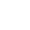 vélo de chat