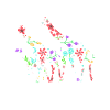 Giraffes