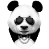 Panda in black