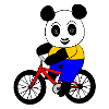 Panda on bicycle