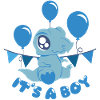 IT'S A BOY - blue dino