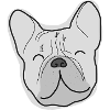 Gray french bulldog