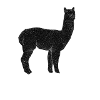 Alpaca black