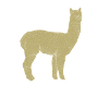 Alpaca