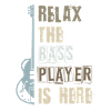Bass guitar bass player