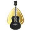 Bass guitar guitarist