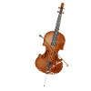 Cello cello player