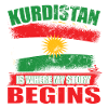Patriotic Kurdistan flag