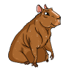 Capybara