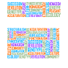 Anthropology Words