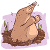 Mole in der Erde