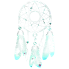 Dreamcatcher Starry Flying