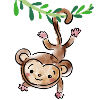 Adam monkey