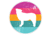 Retro border collie