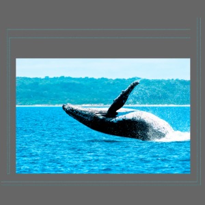 Springender Wal mit dezentem, modischem Rahmen