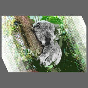 Australien: Niedlicher Koala mit grafischem Rahmen