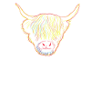 Scottish Highland Cow