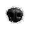 Snout dog