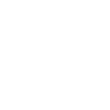 Police officer pensioner