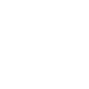 Police team