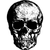 Skull - Black skull