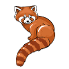 Red Panda