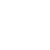 Believer