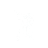Master Student Abschlussfeier