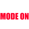 Fencing fencer